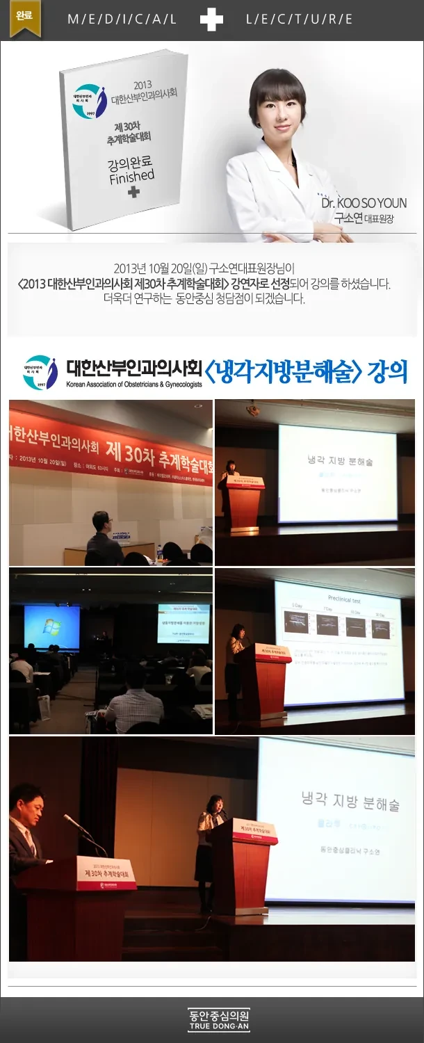 具昭延院长在2013韩国产妇科医师会讲解冷冻溶脂
