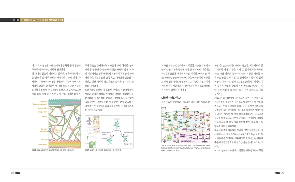 《D&PS》2020年4月号专栏 · 照片2