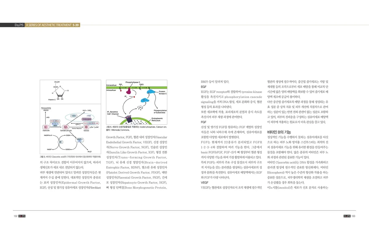 《D&PS》2020年4月号专栏 · 照片3