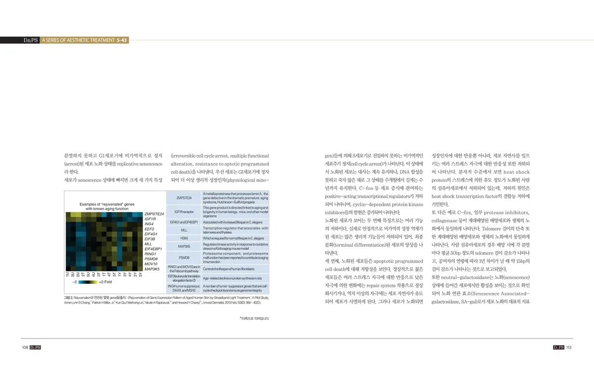 《D&PS》2020年8月号专栏 · 照片2