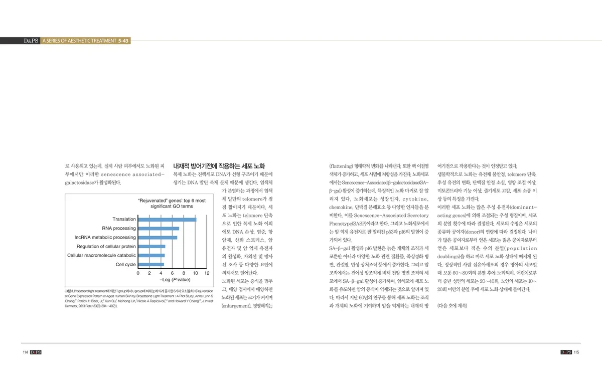 《D&PS》2020年8月号专栏 · 照片3