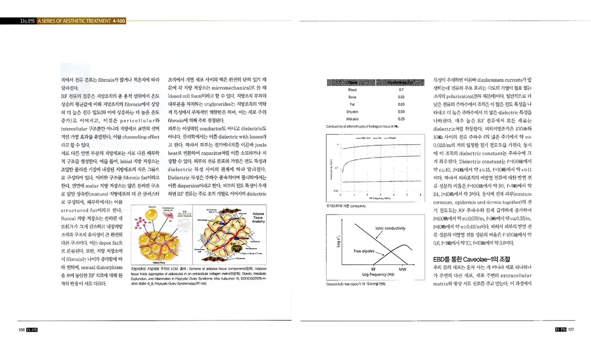 《D&PS》2025年5月号曹昌焕院长专栏 · 第2页